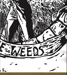 Detail photo of the indie release music CD cover art, part 2.